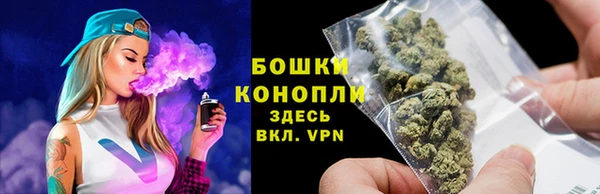 spice Новодвинск