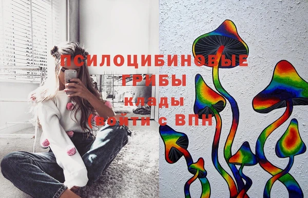 каннабис Новозыбков