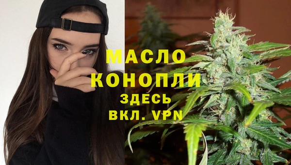 spice Новодвинск
