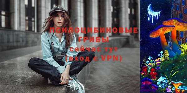 каннабис Новозыбков