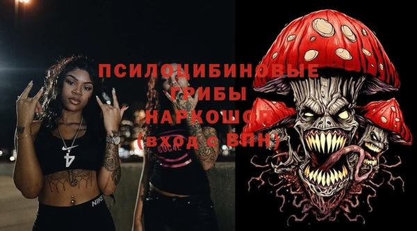 spice Новодвинск