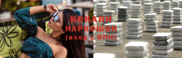 spice Новодвинск